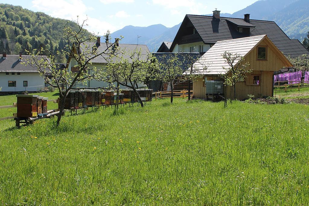 Apartments And Rooms Cerkovnik Бохинь Экстерьер фото